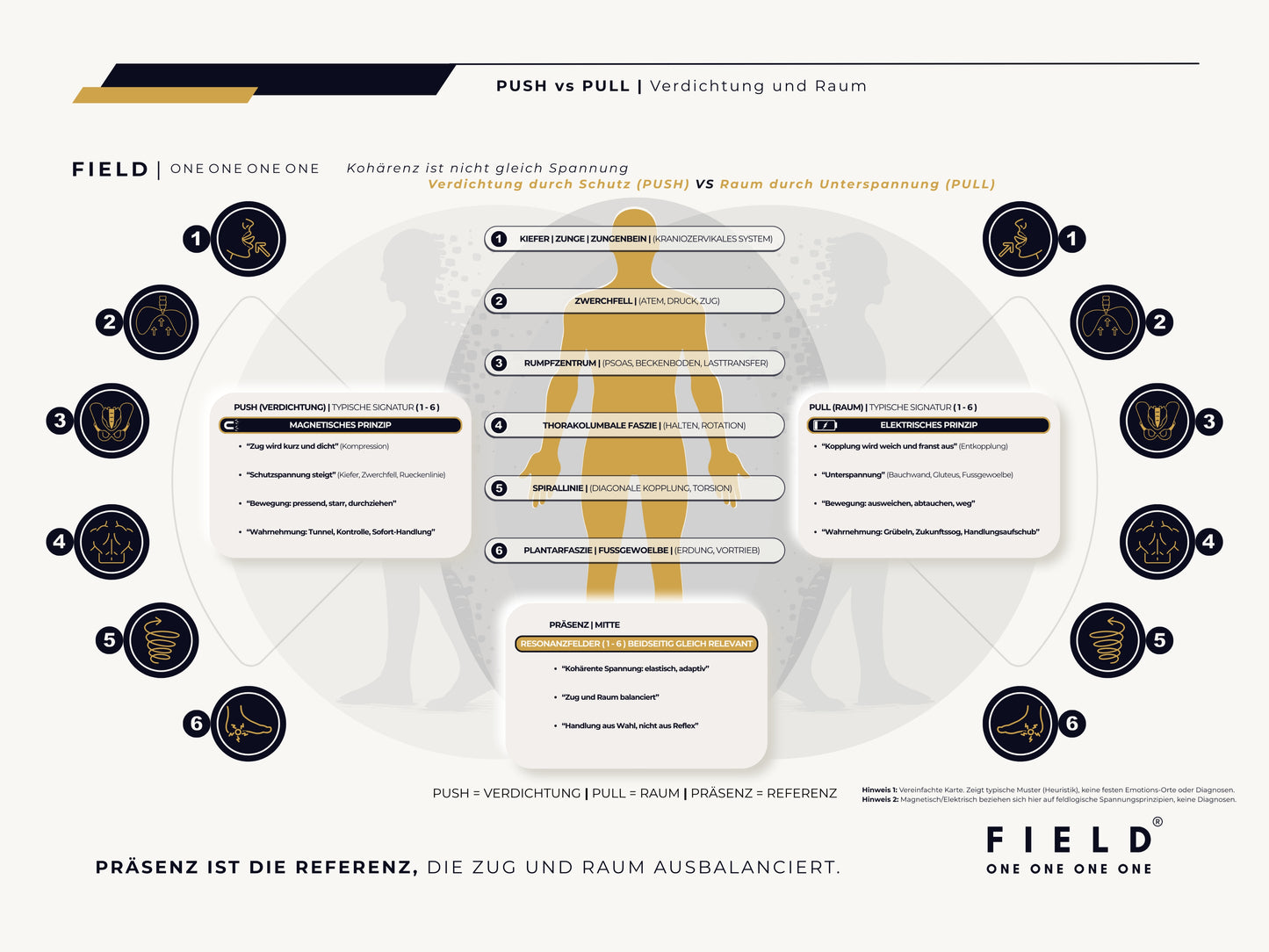 F I E L D | PUSH-PULL-CHART (PDF)