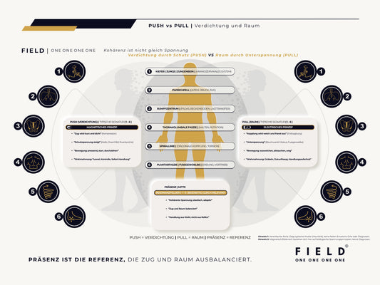 F I E L D | PUSH-PULL-CHART (PDF)