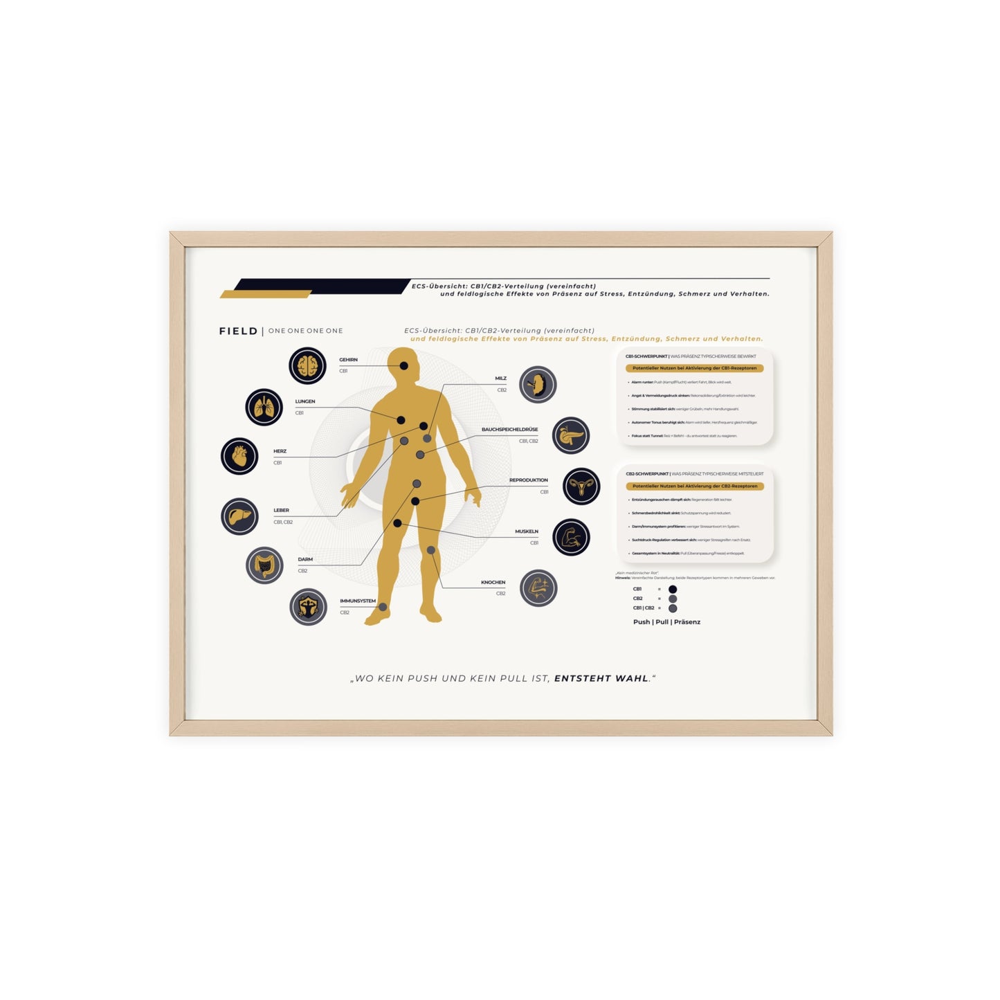 F I E L D  |  ECS-SYSTEM-CHART