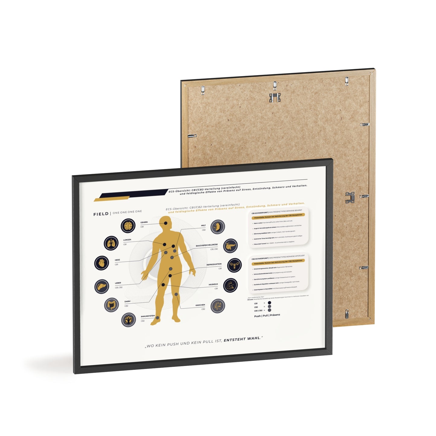 F I E L D  |  ECS-SYSTEM-CHART