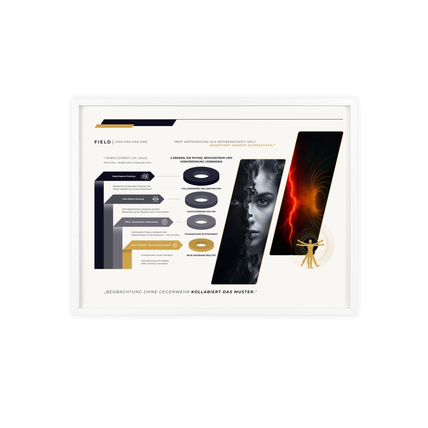 F I E L D  | 4-EBENEN-CHART