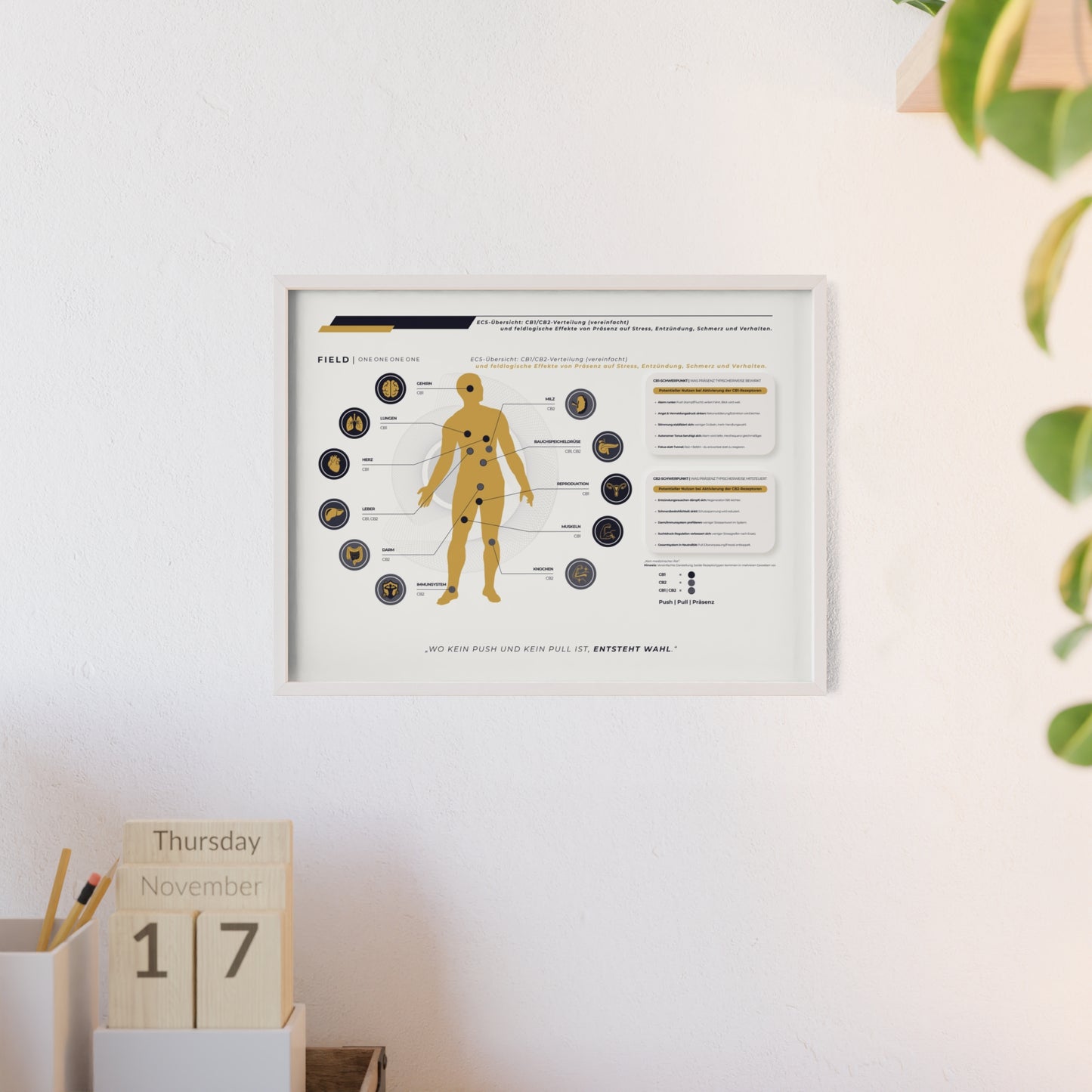 F I E L D  |  ECS-SYSTEM-CHART