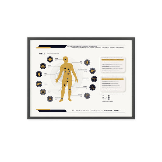 F I E L D  |  E C S - S Y S T E M - C H A R T