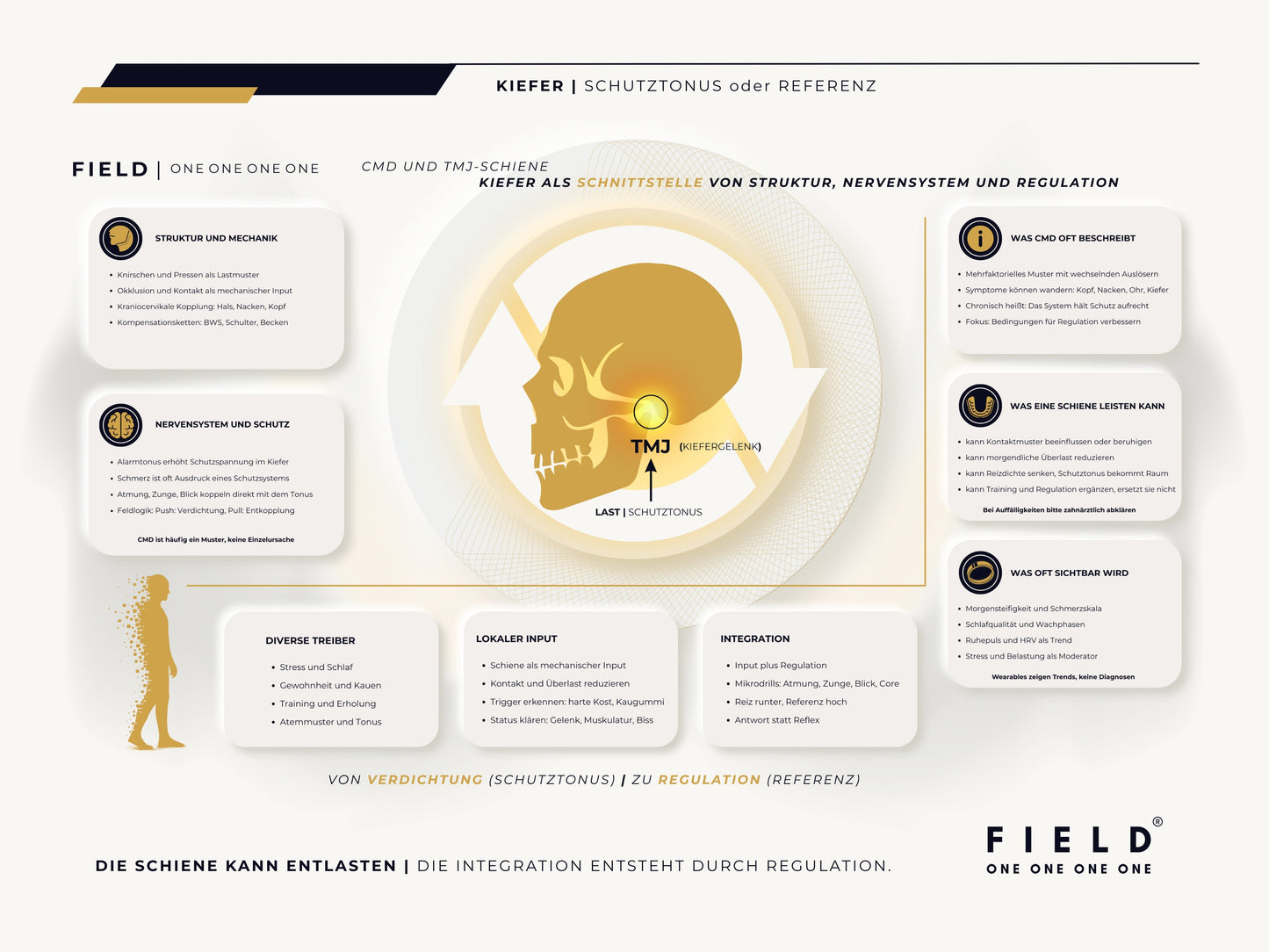 F I E L D | CMD-CHART (PDF)