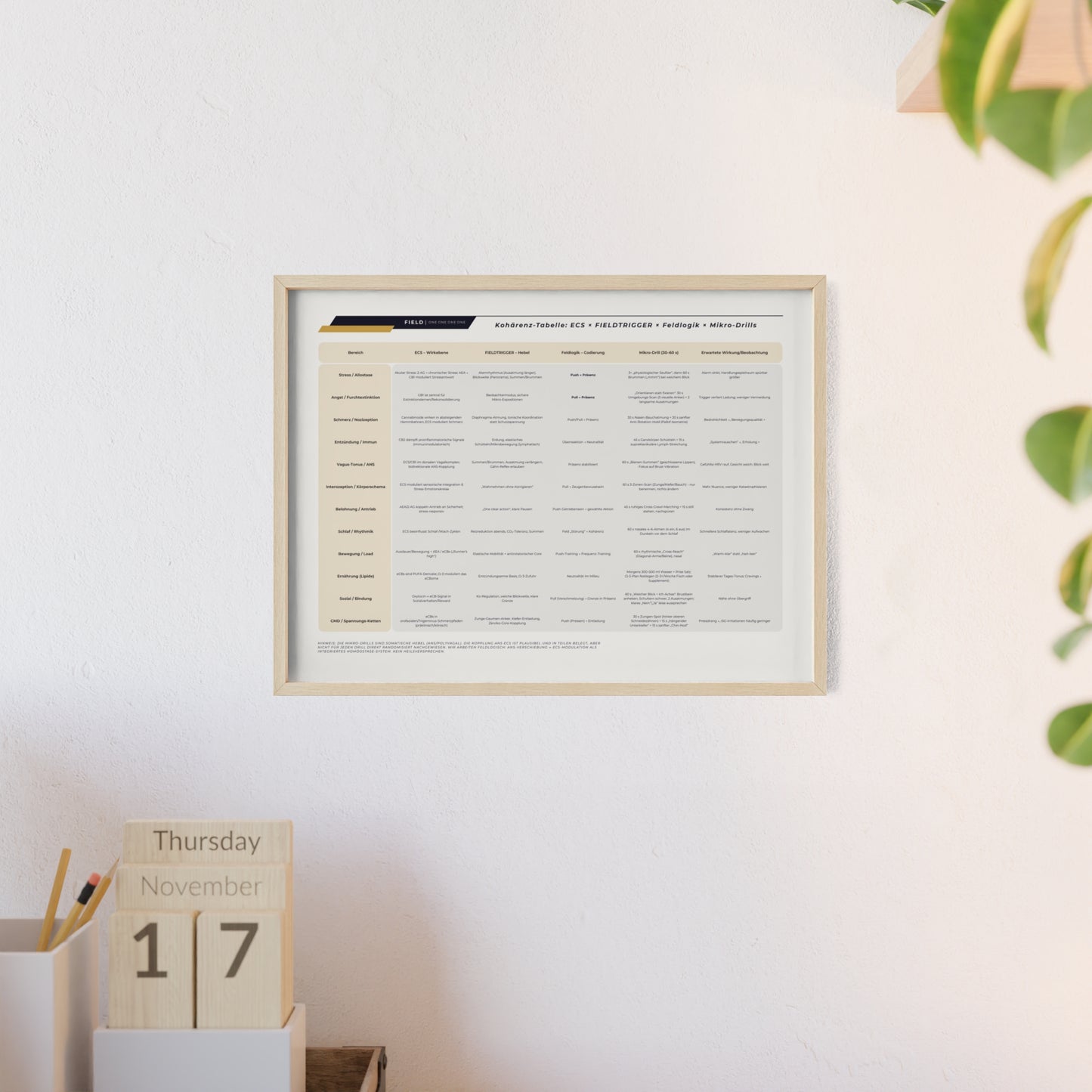 F I E L D  |  COHERENCE-CHART