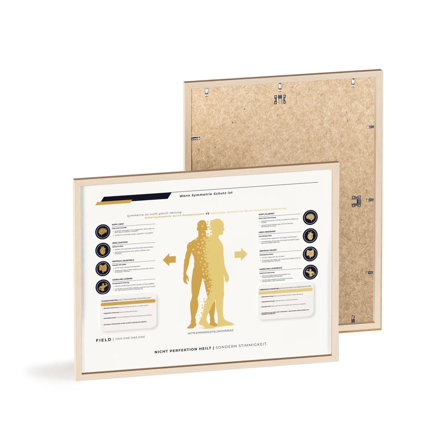 F I E L D | SYMMETRIE-CHART