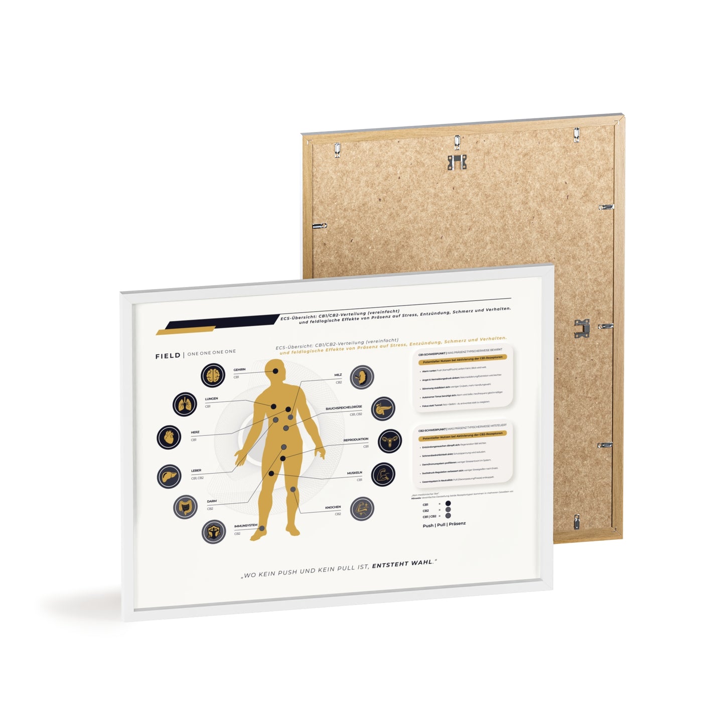 F I E L D  |  ECS-SYSTEM-CHART