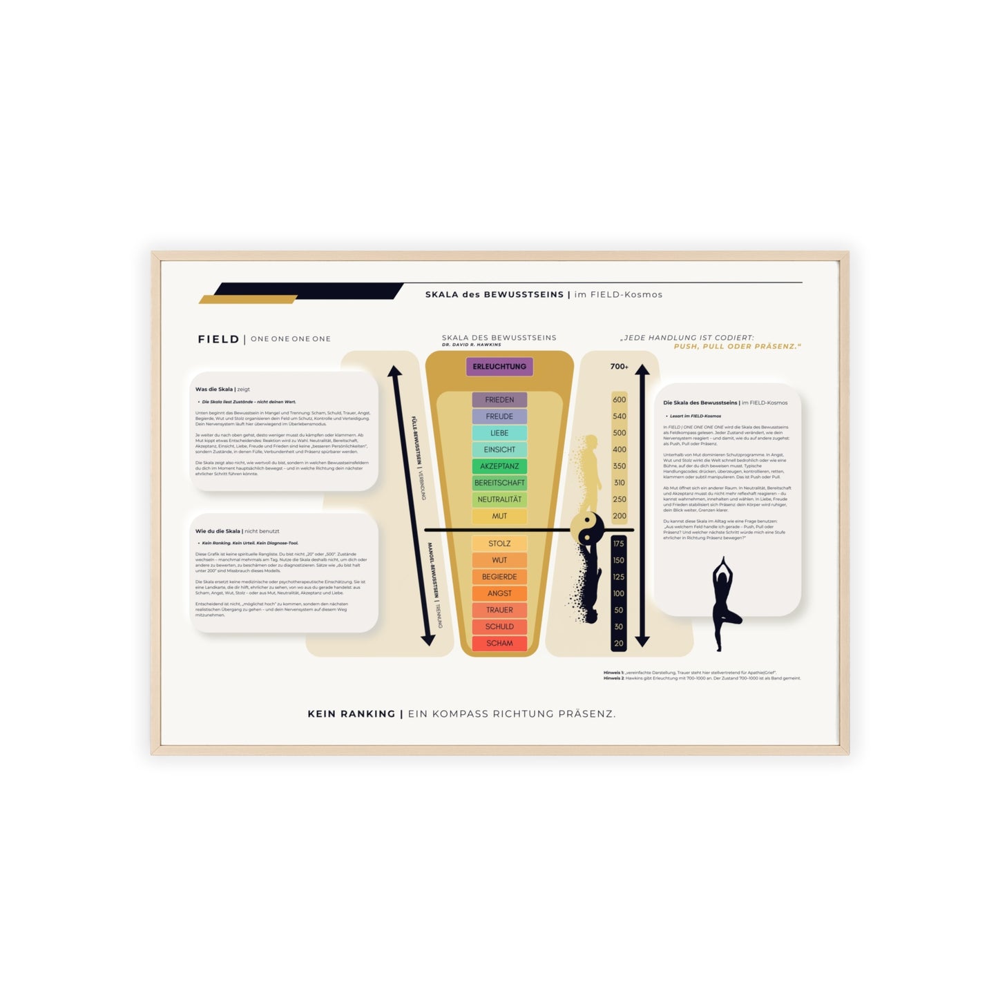 F I E L D | SKALA DES BEWUSSTSEIN
