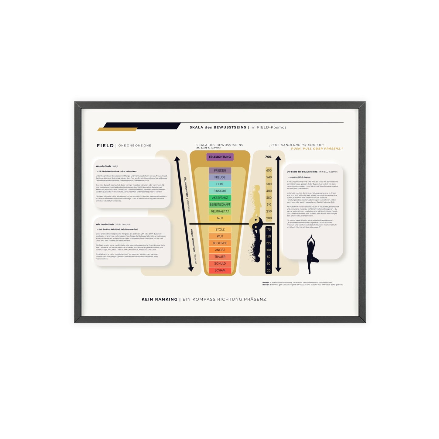 F I E L D | SKALA DES BEWUSSTSEIN