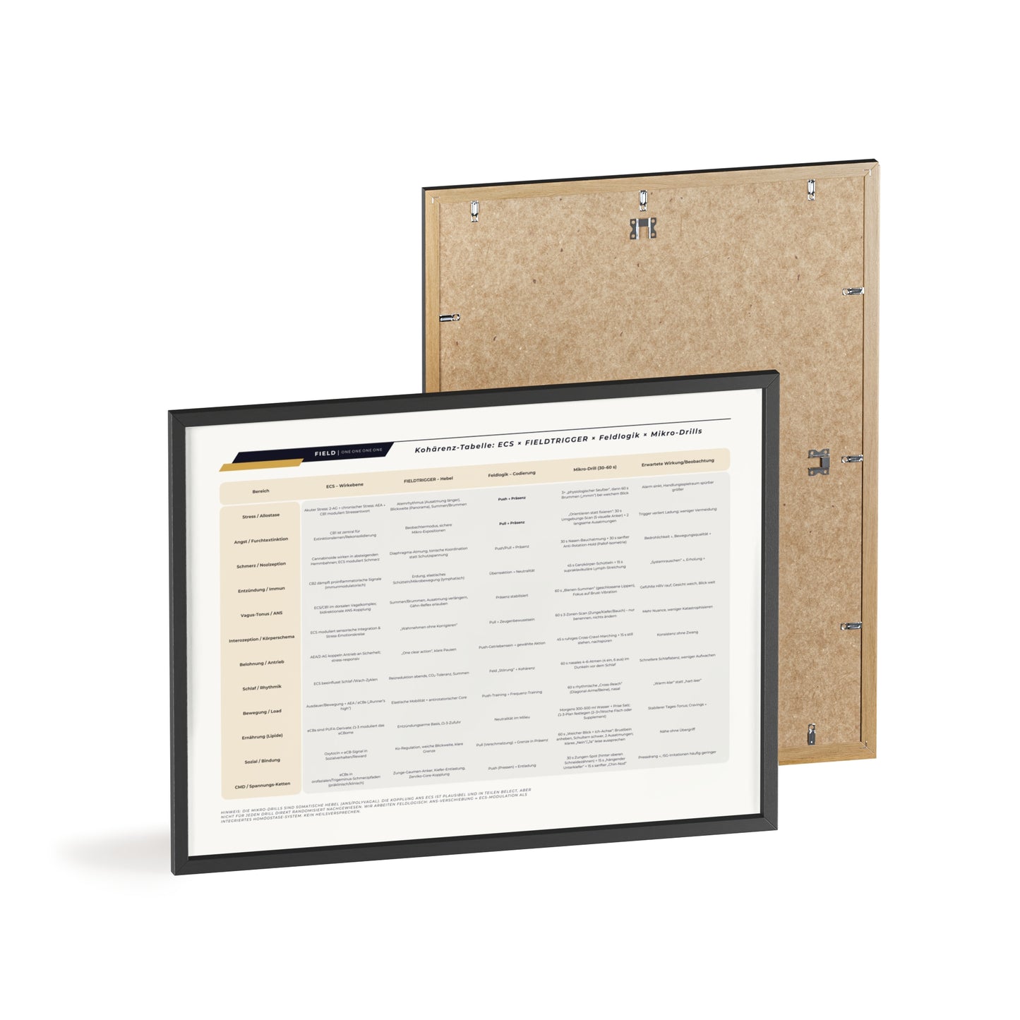 F I E L D  |  COHERENCE-CHART