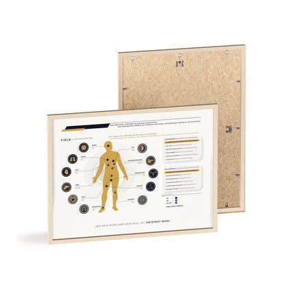 F I E L D  |  ECS-SYSTEM-CHART