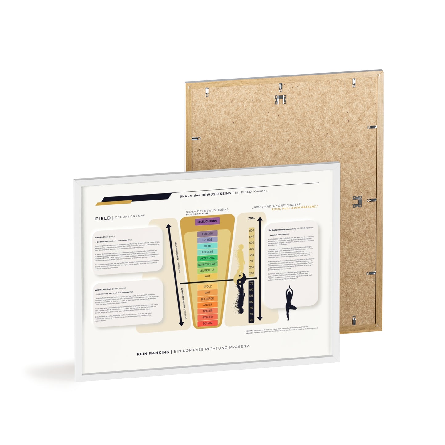F I E L D | SKALA DES BEWUSSTSEIN