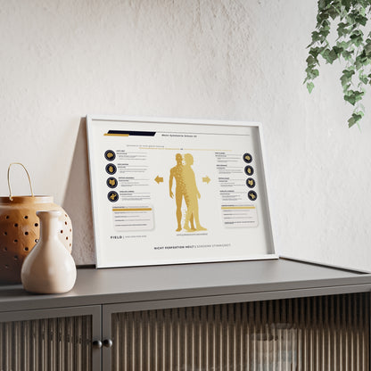 F I E L D | SYMMETRIE-CHART