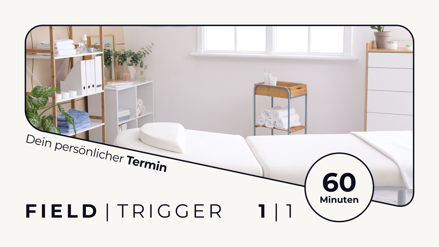 1 | 1 Session FIELDTRIGGER