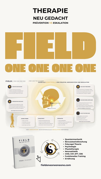 F I E L D | T R I G G E R - Prävention VS Eskalation